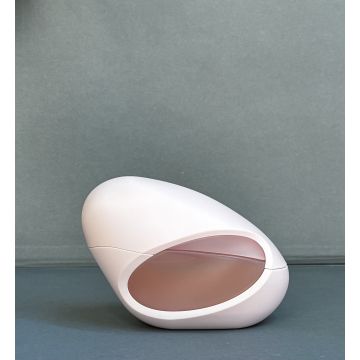 Ariana Grande Mod Blush