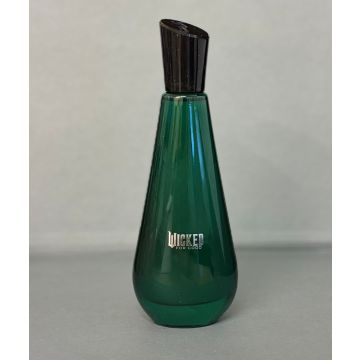 Ariana Grande Elphaba Enchanted