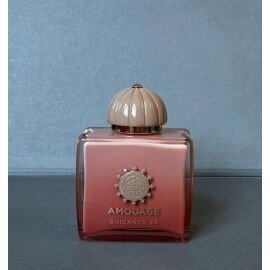 【新品】Amouage Guidance 100ml 並行輸品 Amouage Guidance 46 - 100 ml Extract – Papique
