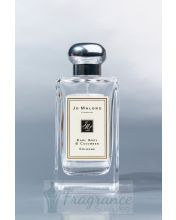 ob-463_f77fd6c4-56a1-4189-a954